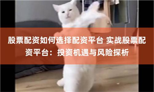 股票配资如何选择配资平台 实战股票配资平台：投资机遇与风险探析