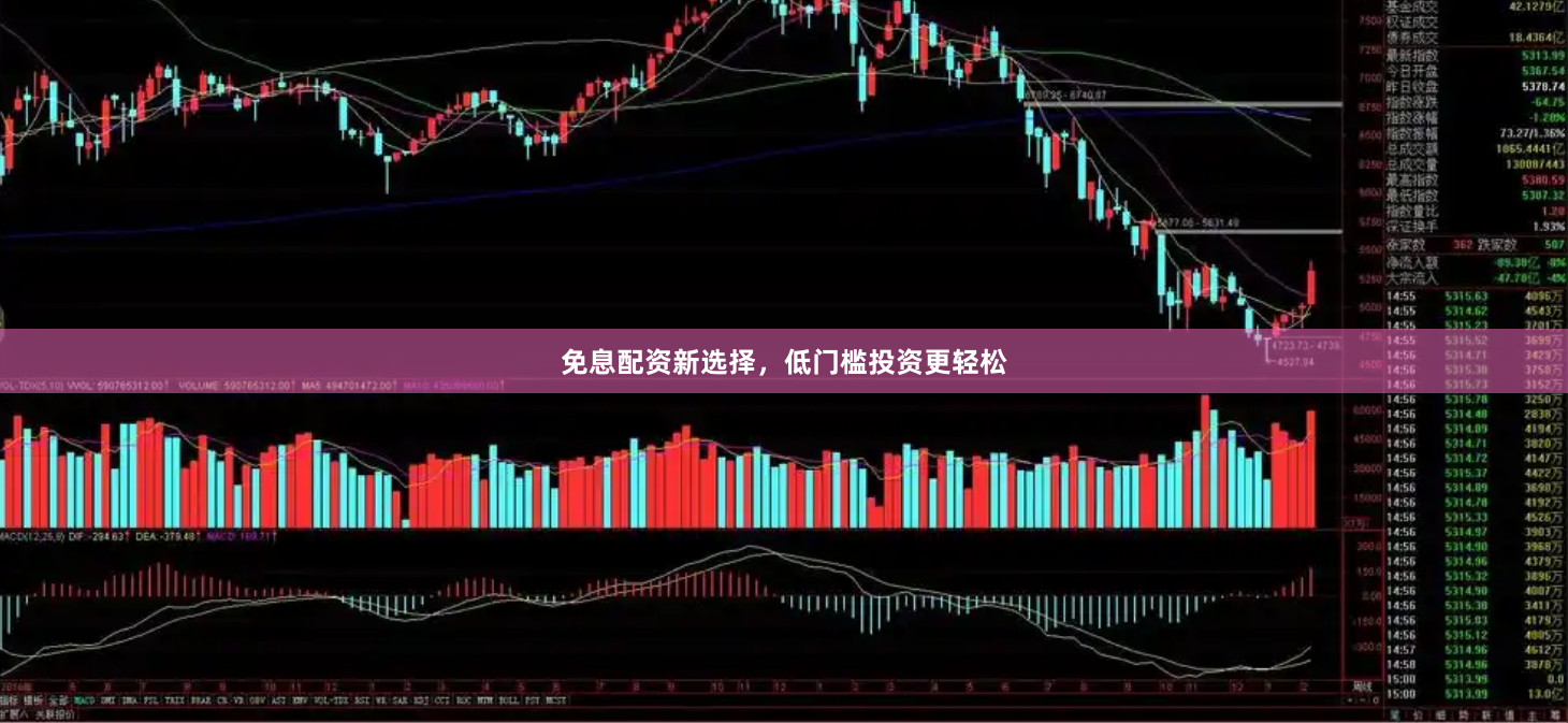 免息配资新选择,低门槛投资更轻松